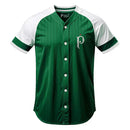 Camisa Palmeiras 2025/26 Baseball Verde