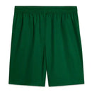Palmeiras Shorts 2025/26 I Home