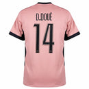 Paris Saint-Germain Jordan Third Fan Jersey 2024/25