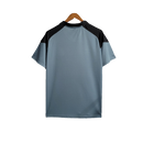Camisa Grêmio 23/24 Treino - Cinza - Versão Torcedor