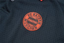 Camisa Bayern de Munique 2025/26 Edição Polo Cinza Escuro