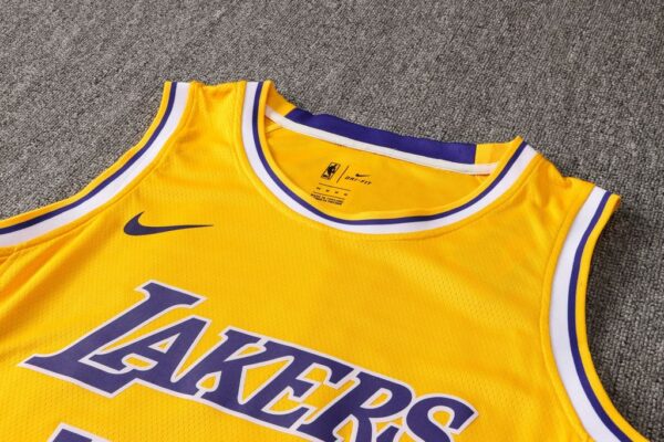 Camiseta Los Angeles Lakers Icon 2020-2021